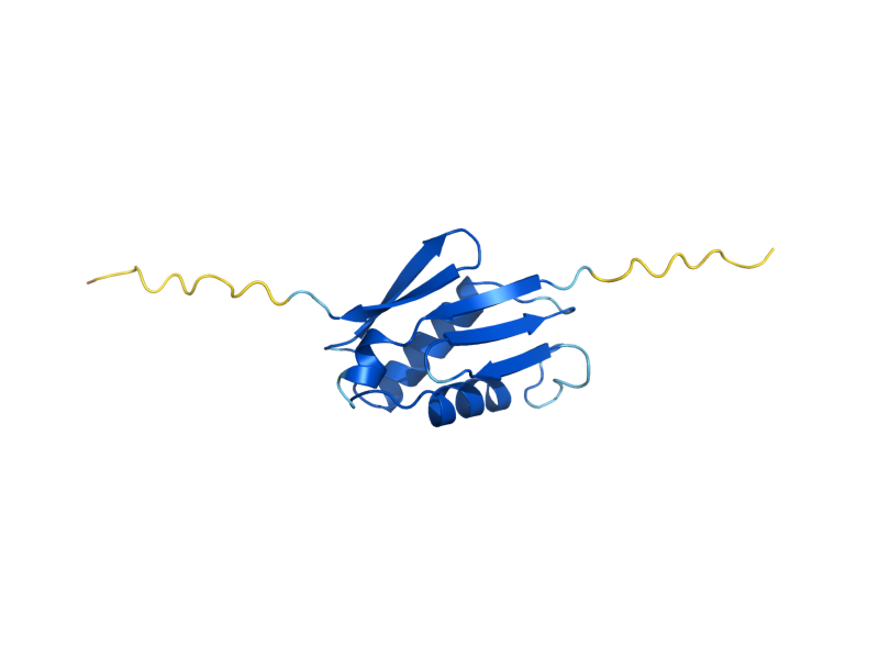 AlphaFold predicted structure of RPL22A