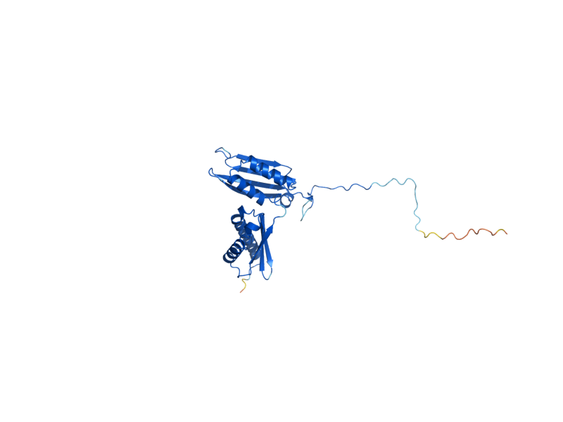 AlphaFold predicted structure of RPS3