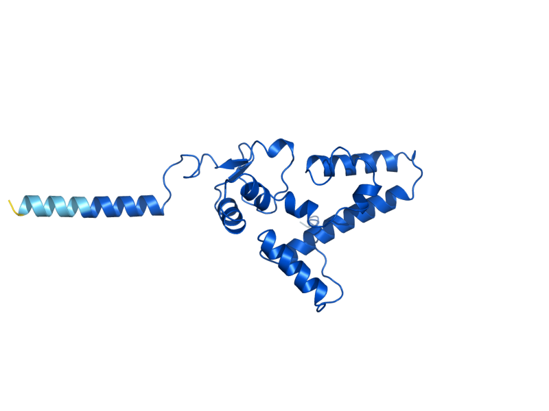 AlphaFold predicted structure of RPS9B