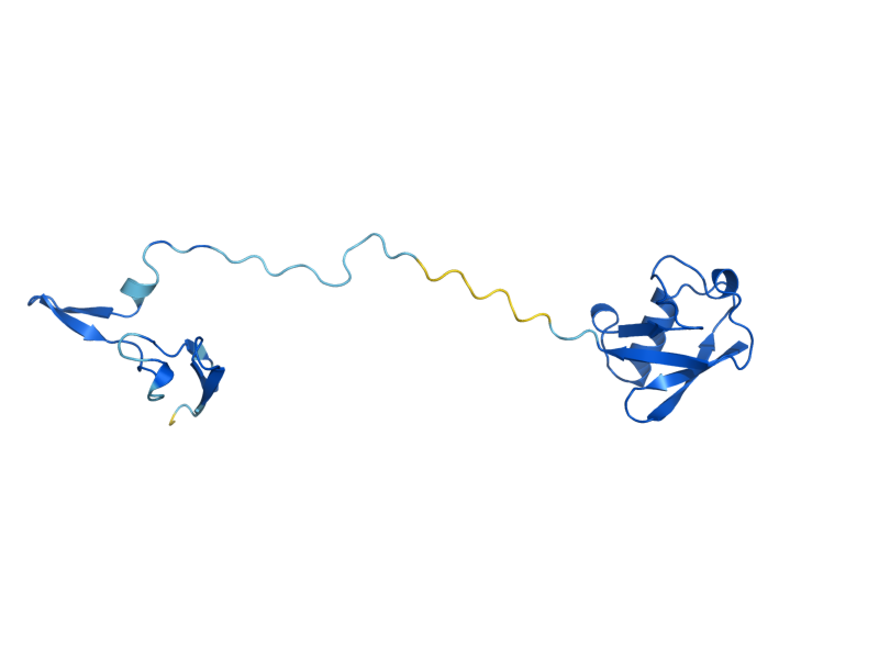 AlphaFold predicted structure of RPS31