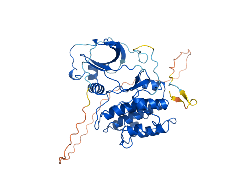 AlphaFold predicted structure of TPK3