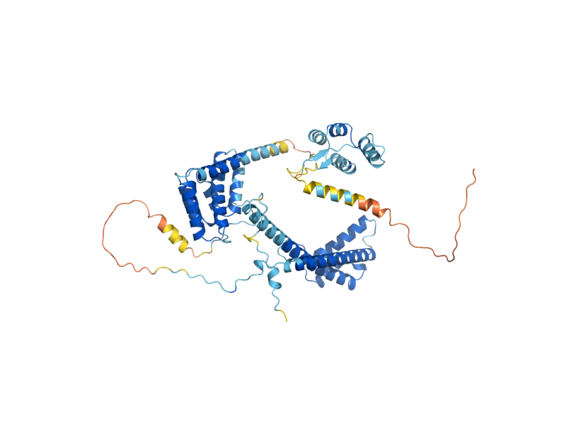 AlphaFold predicted structure of CDC37