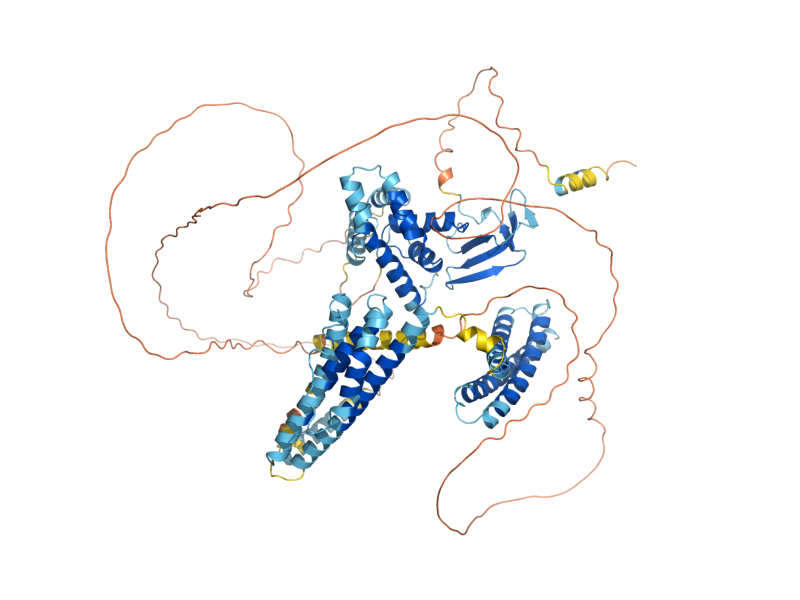 AlphaFold predicted structure of NOT3