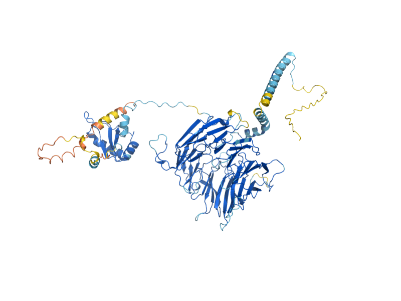 AlphaFold predicted structure of PRT1