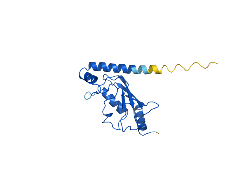 AlphaFold predicted structure of RAD6