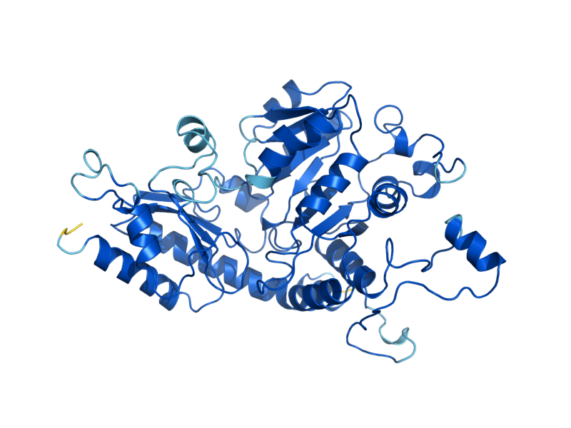 AlphaFold predicted structure of MET17
