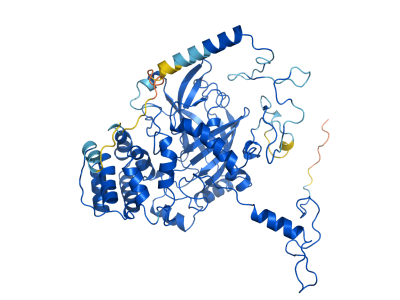 AlphaFold predicted structure of CTT1