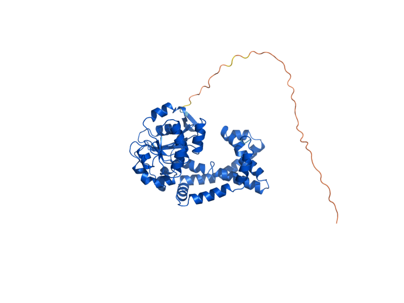 AlphaFold predicted structure of ILV5