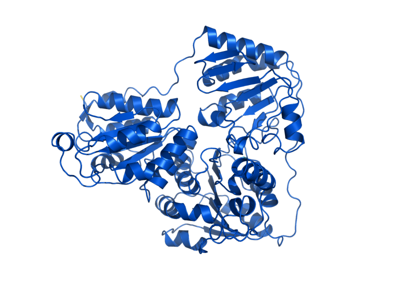AlphaFold predicted structure of PDC1