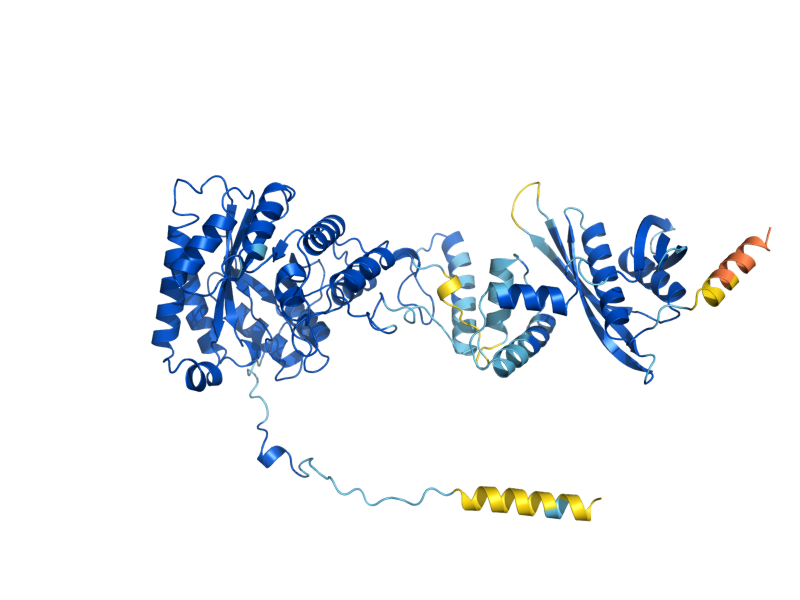 AlphaFold predicted structure of LEU4