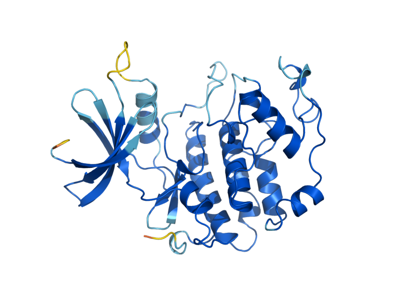 AlphaFold predicted structure of KIN28