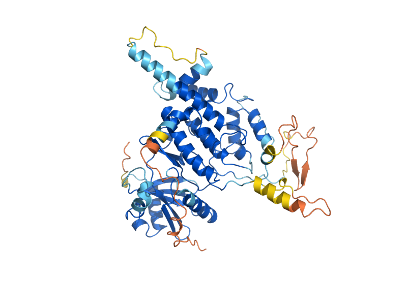 AlphaFold predicted structure of CDC7