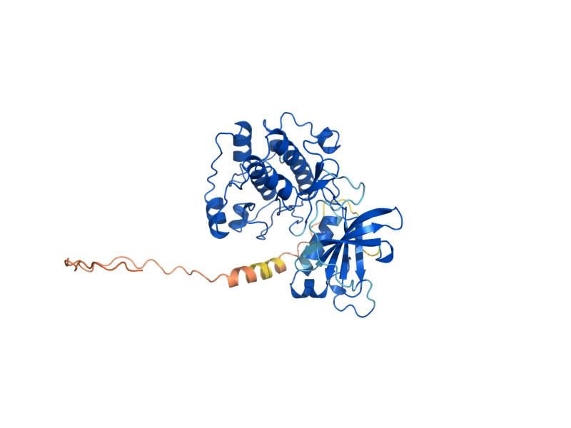 AlphaFold predicted structure of TPK2