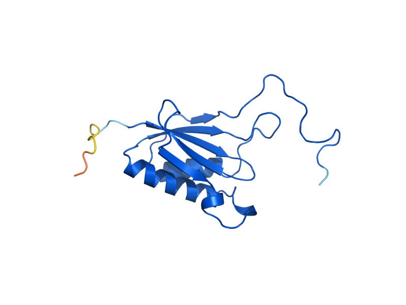 AlphaFold predicted structure of RPS14A