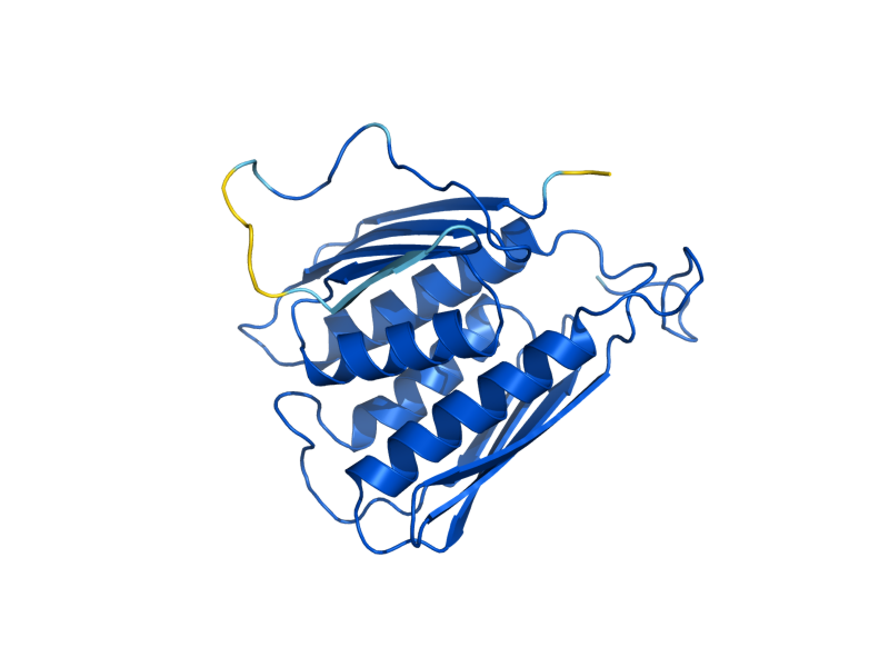 AlphaFold predicted structure of HIS3