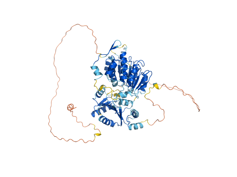 AlphaFold predicted structure of DED1