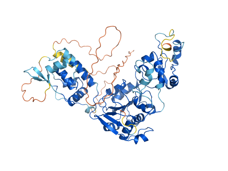 AlphaFold predicted structure of SIR2