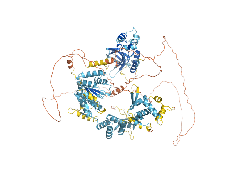 AlphaFold predicted structure of SIR3