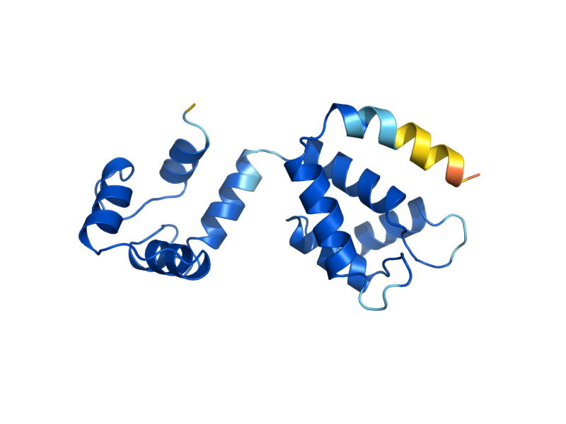AlphaFold predicted structure of CDC31