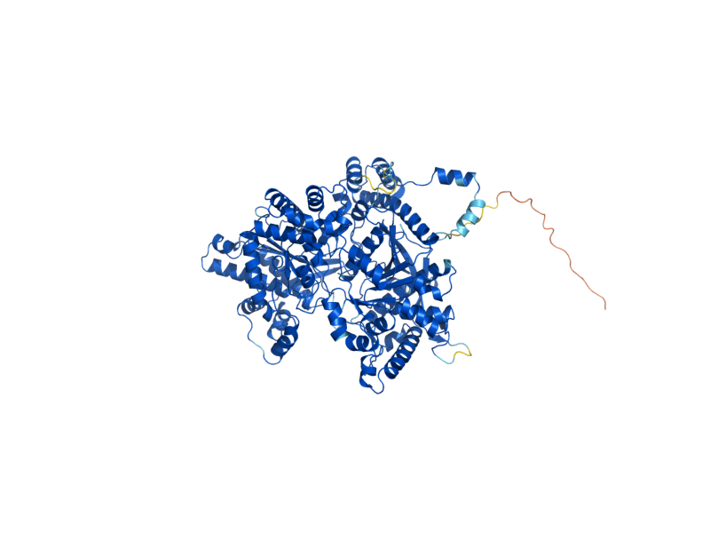 AlphaFold predicted structure of GPH1