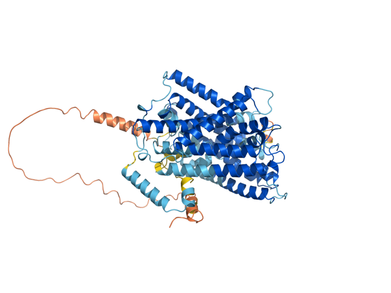 AlphaFold predicted structure of HIP1