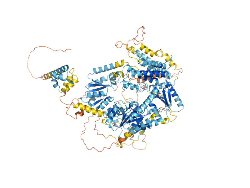 AlphaFold predicted structure of RAD1