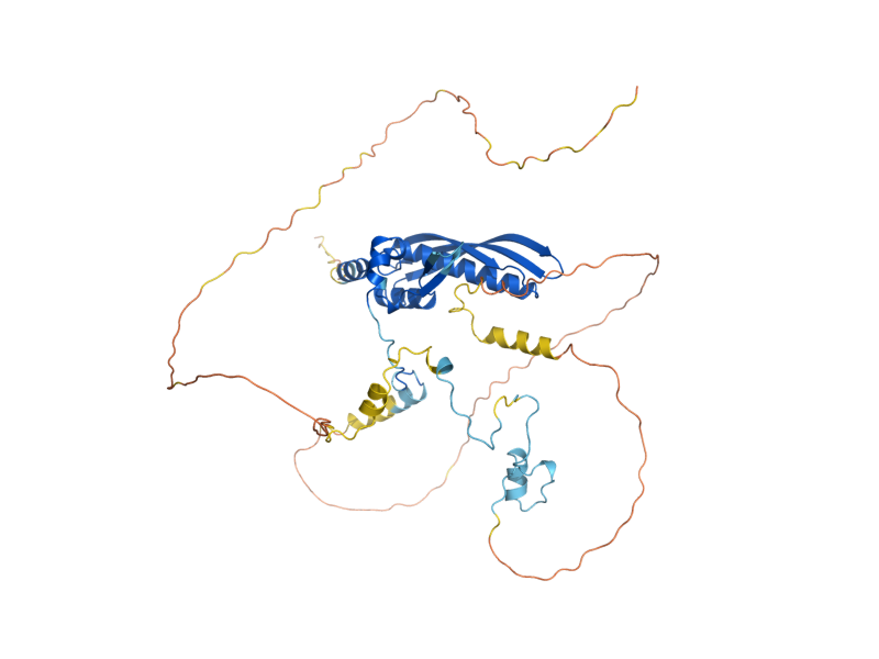 AlphaFold predicted structure of RAD52