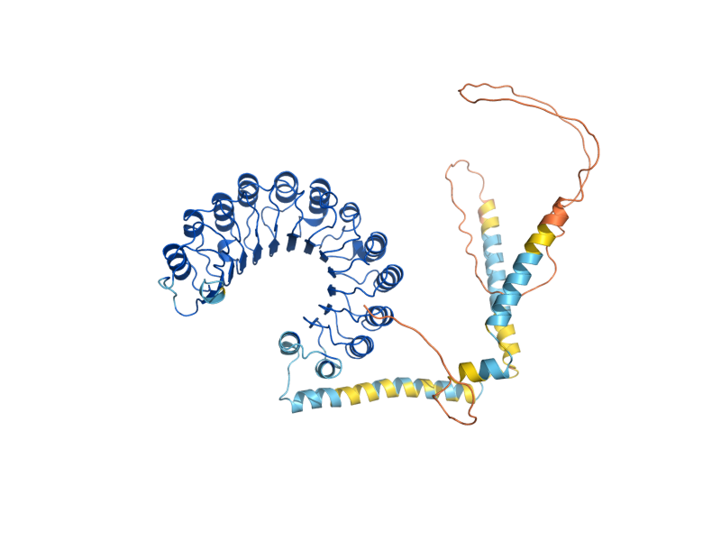 AlphaFold predicted structure of RAD7