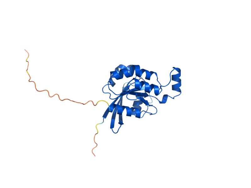 AlphaFold predicted structure of RHO1