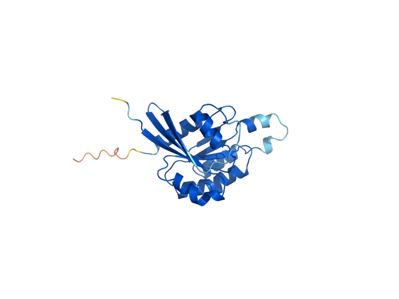 AlphaFold predicted structure of RHO2