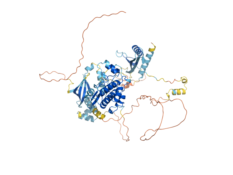 AlphaFold predicted structure of SNF1