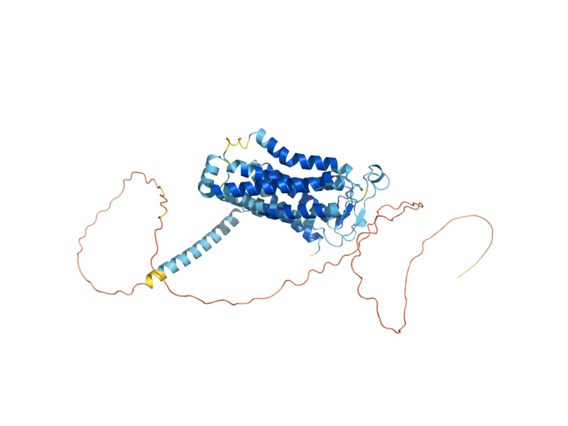AlphaFold predicted structure of STE3