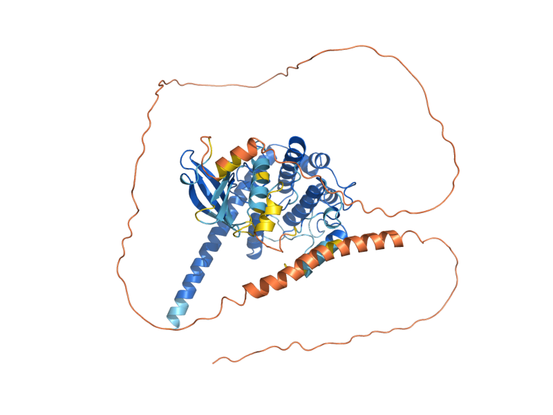 AlphaFold predicted structure of STE7
