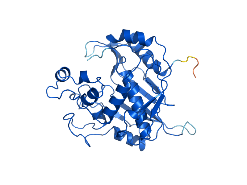 AlphaFold predicted structure of CDC21