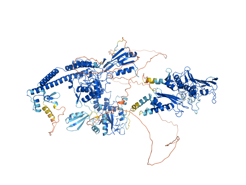 AlphaFold predicted structure of TOP2