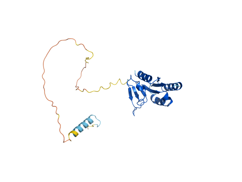 AlphaFold predicted structure of RAD10
