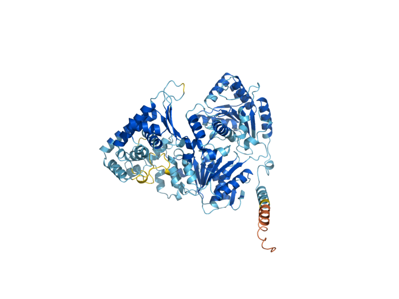 AlphaFold predicted structure of RAD3
