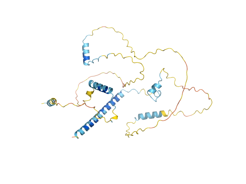 AlphaFold predicted structure of SPT2