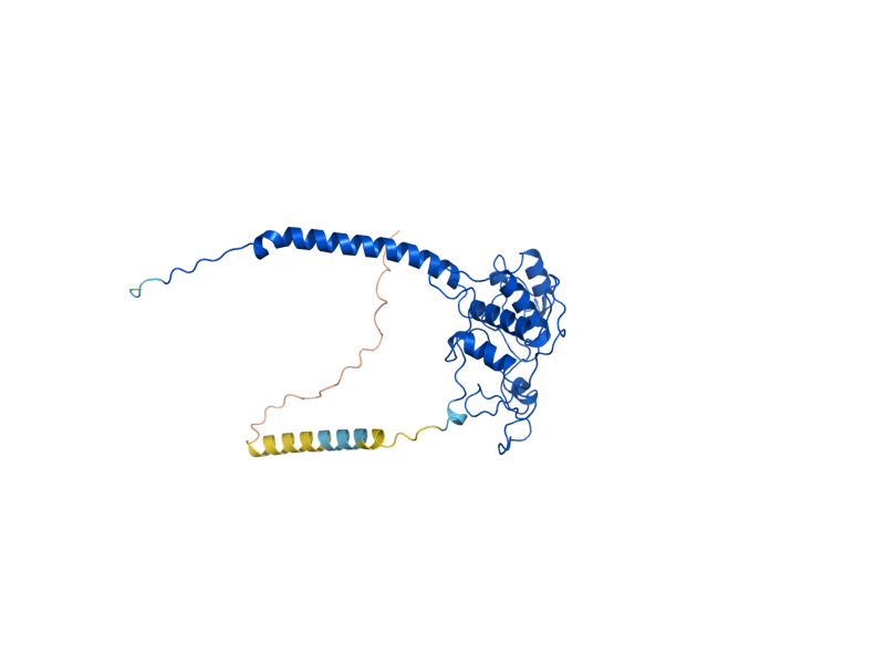 AlphaFold predicted structure of CYT1