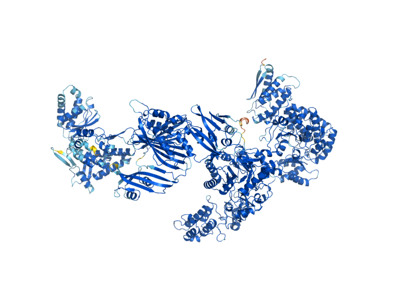 AlphaFold predicted structure of FAS1