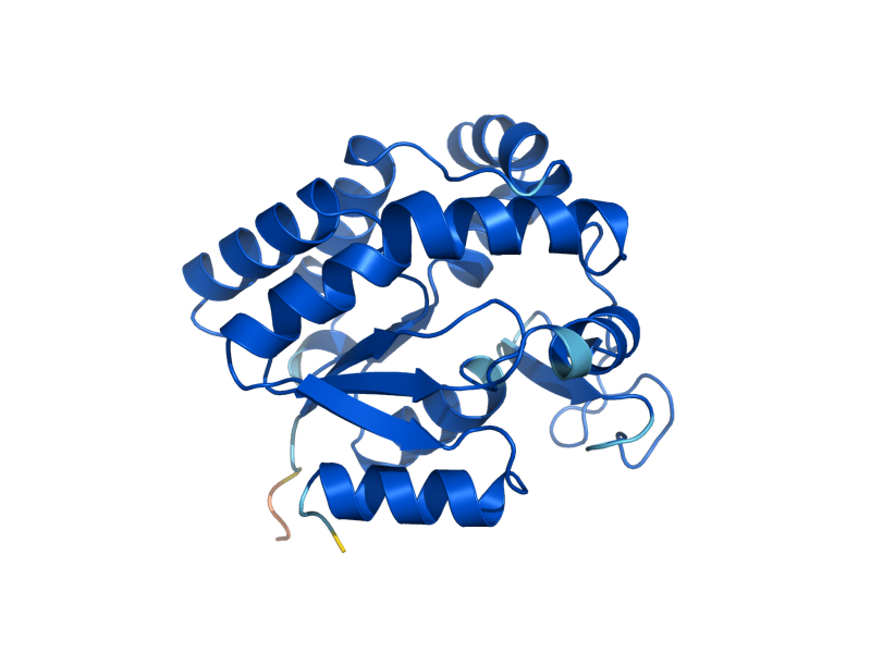AlphaFold predicted structure of ADK1