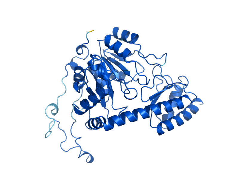 AlphaFold predicted structure of HIS5