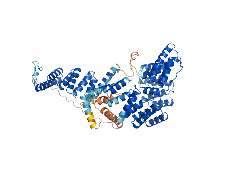 AlphaFold predicted structure of TOM70