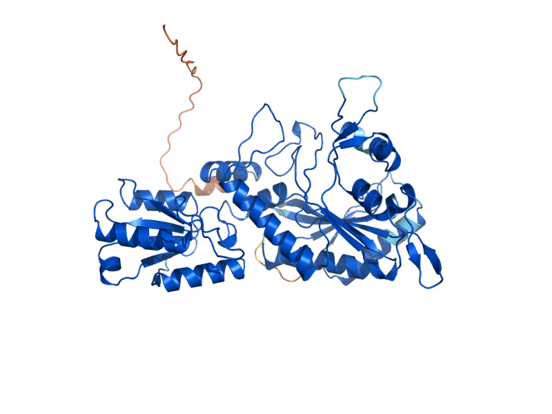 AlphaFold predicted structure of MST1