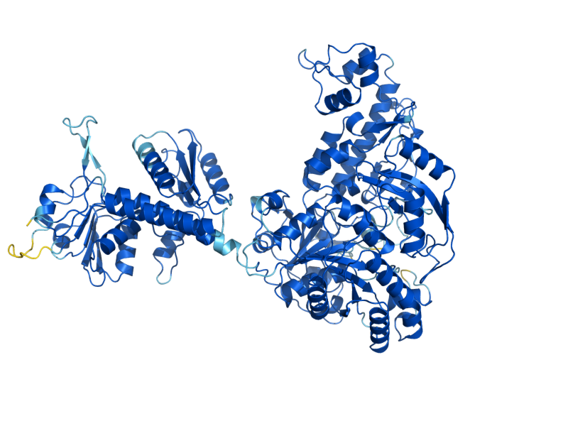 AlphaFold predicted structure of ADE3