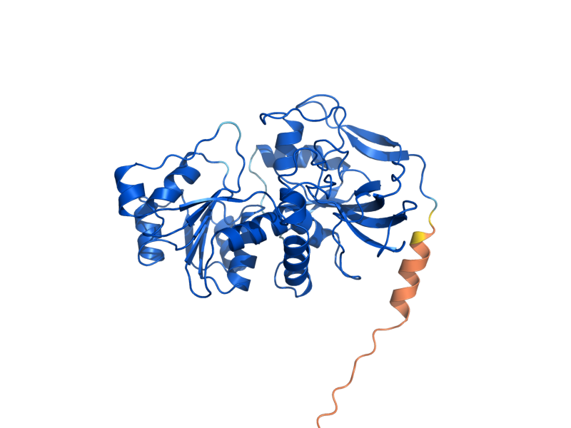 AlphaFold predicted structure of ADH3