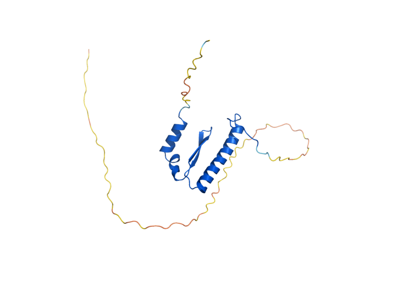 AlphaFold predicted structure of ARG80