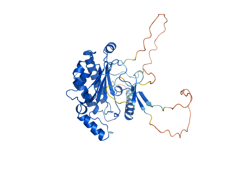 AlphaFold predicted structure of ARG82