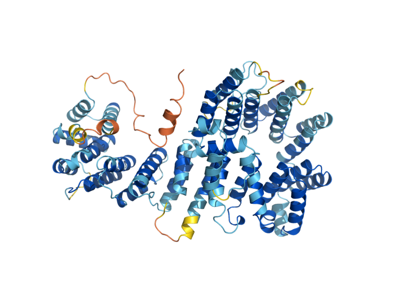 AlphaFold predicted structure of CBP1