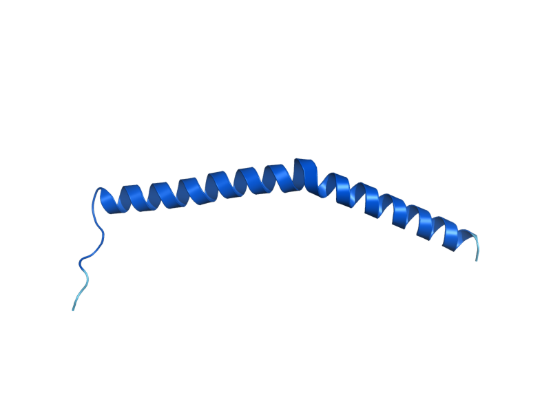 AlphaFold predicted structure of COX9